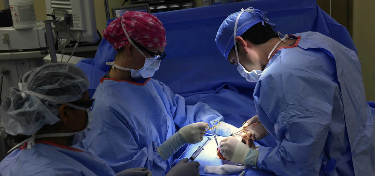 España cierra 2018 con cifras récord en donación y trasplante de órganos