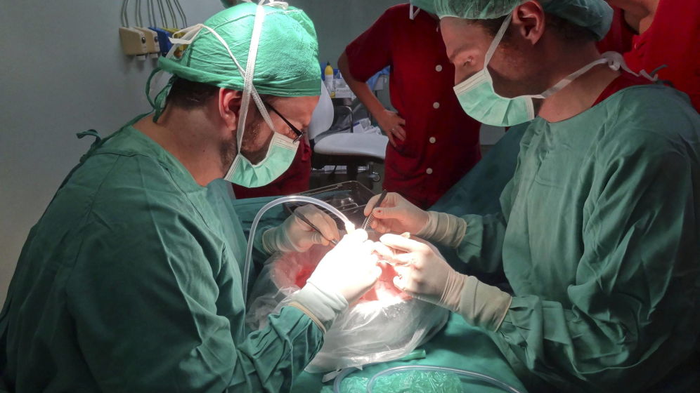 España logra el record en donación de órganos: 13 trasplante al día en 2015