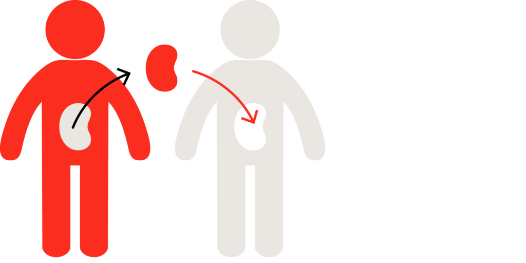 Conoce todo lo que se puede donar del cuerpo INCORT