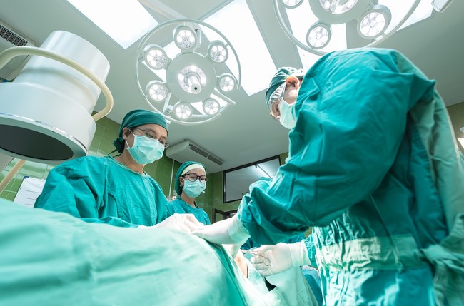 Desarrollan en España una terapia que evita el rechazo de los órganos trasplantados