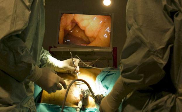 Unos 60.000 españoles necesitan hemodiálisis o trasplante renal