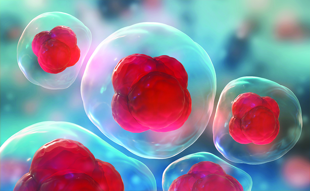 El tratamiento con células madres