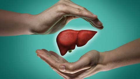 Trasplante de hígado: ¿Cuál es su importancia?