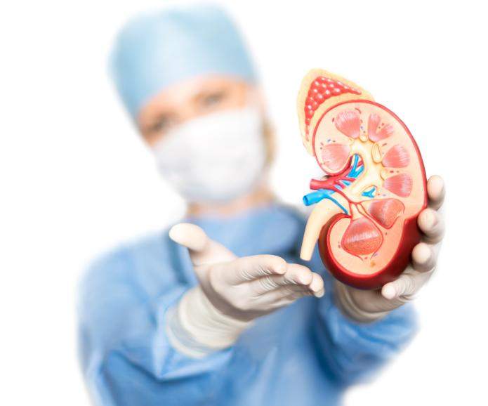 SeNaSa llama a población apoyar pacientes renales a través de la donación de órganos